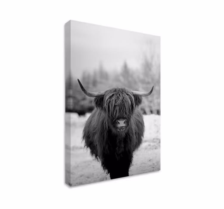 Tableau animal Vache des montagnes - TenStickers