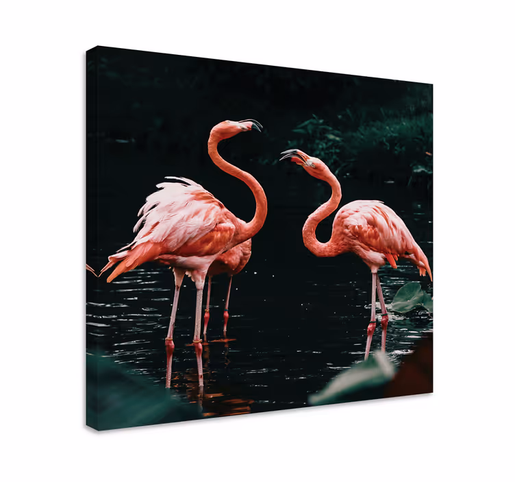 Tableau animal Couple de flamants roses - TenStickers