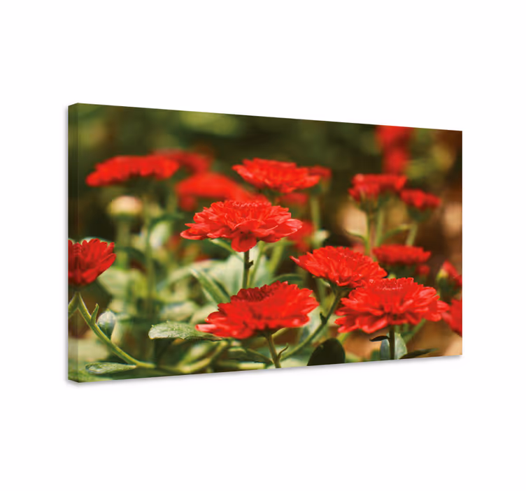 Tableau fleurs et plantes Éclosions de fleurs rouges - TenStickers