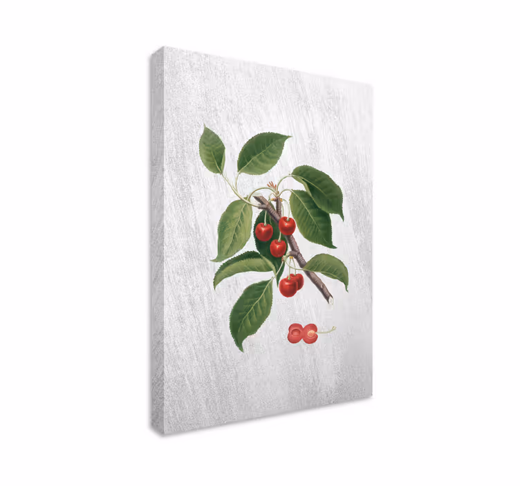 Tableau arbre de vie Cerise aigre élégante - TenStickers