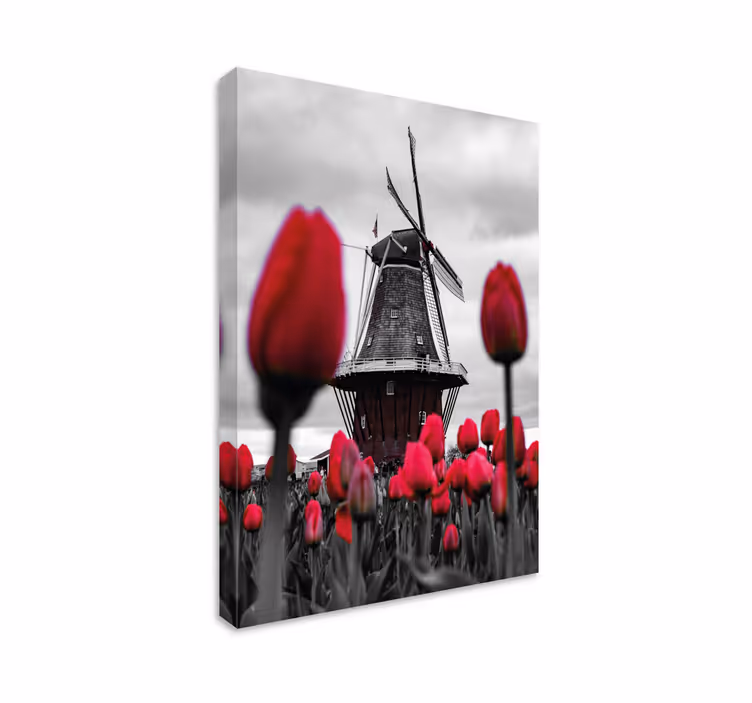 Tableau fleurs Champ de tulipes avec moulin à vent - TenStickers