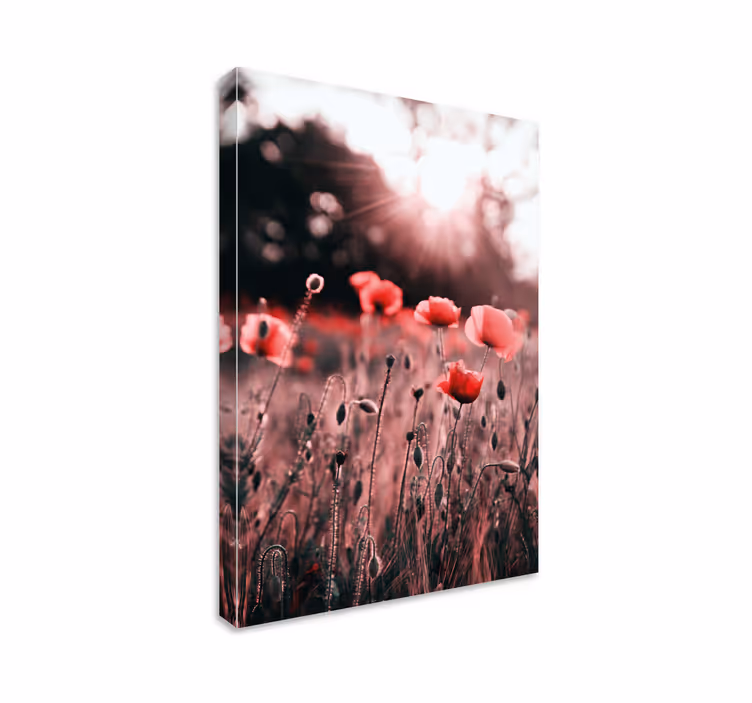 Tableau fleurs Vague champ de coquelicots - TenStickers