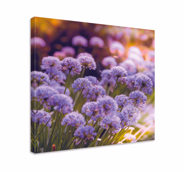 Tableau fleurs Champ de fleurs violettes - TenStickers
