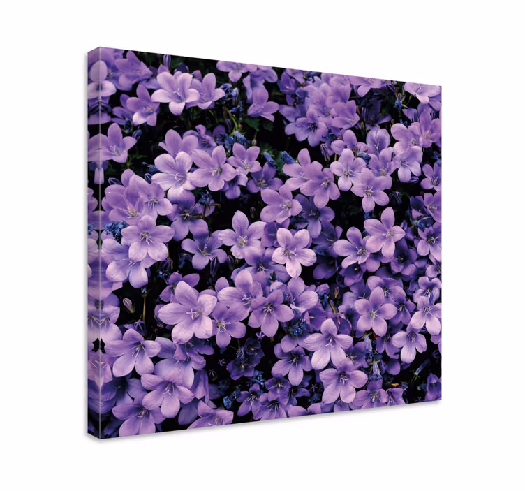 Tableau fleurs Fleurs violettes vagues - TenStickers