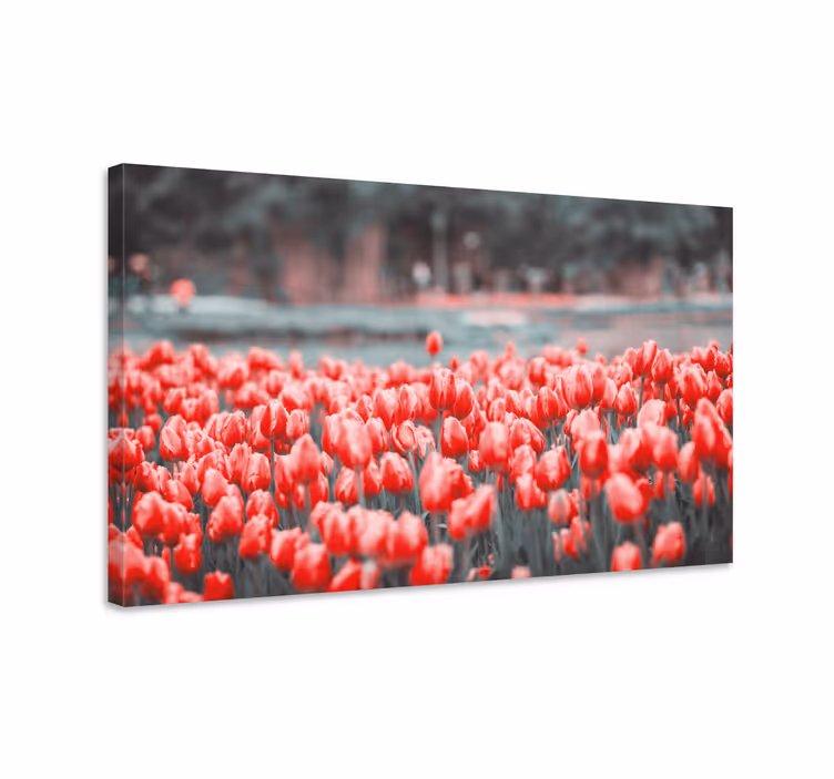 Tableau fleurs Champ de tulipes roses différent - TenStickers