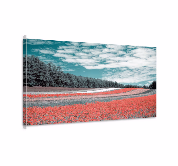 Tableau fleurs Différents types de champs de fleurs - TenStickers