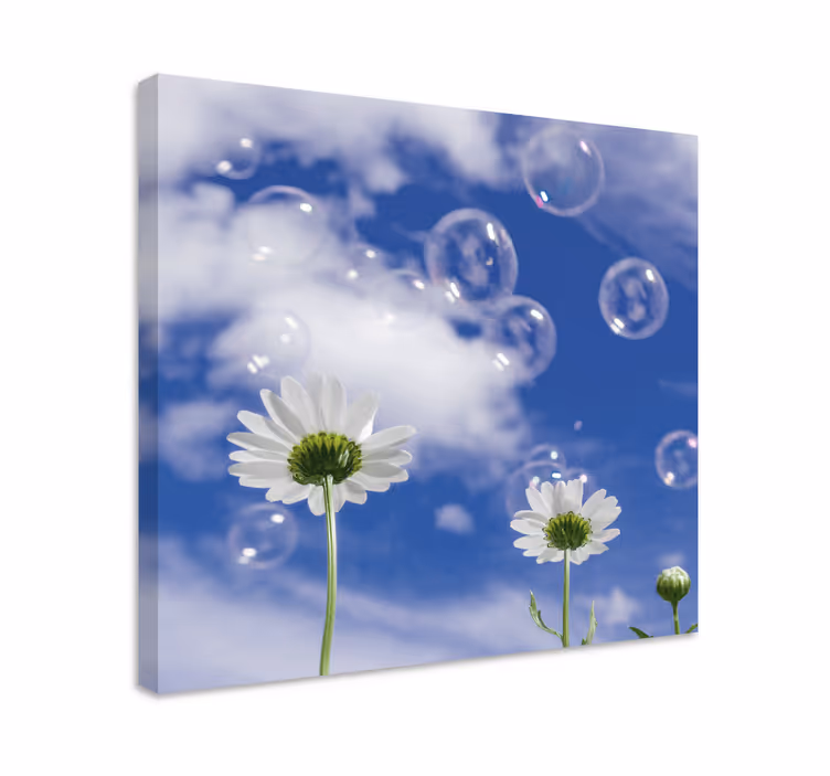 Tableau fleurs Fleur de marguerite et bulles - TenStickers