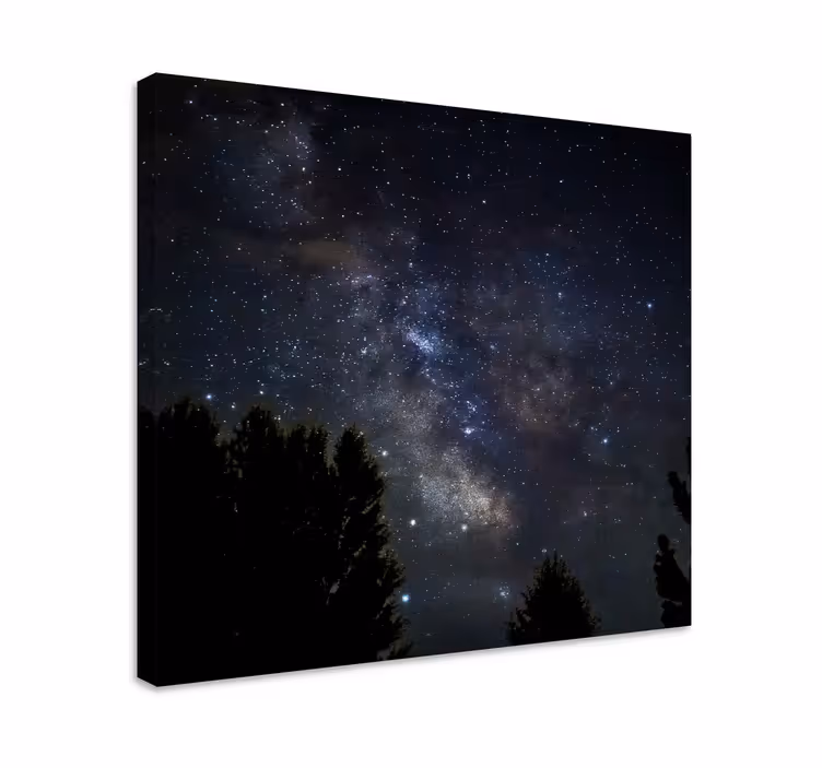 Tableau paysage Ciel étoilé la nuit - TenStickers