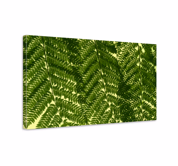 Tableau scandinave Plante de fougère verte - TenStickers