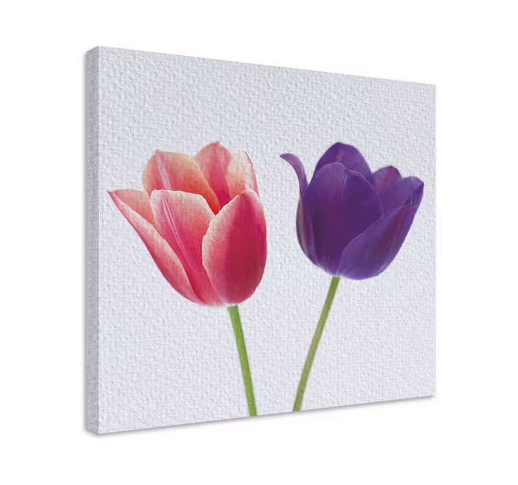 Tableau fleurs et plantes arrangement de tulipes - TenStickers