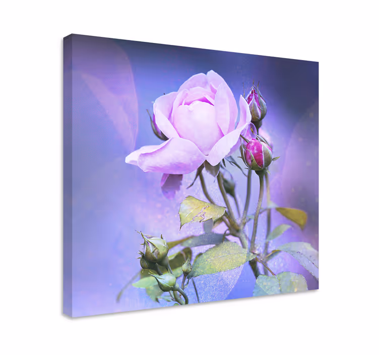 Tableau fleurs Roses de jardin roses - TenStickers