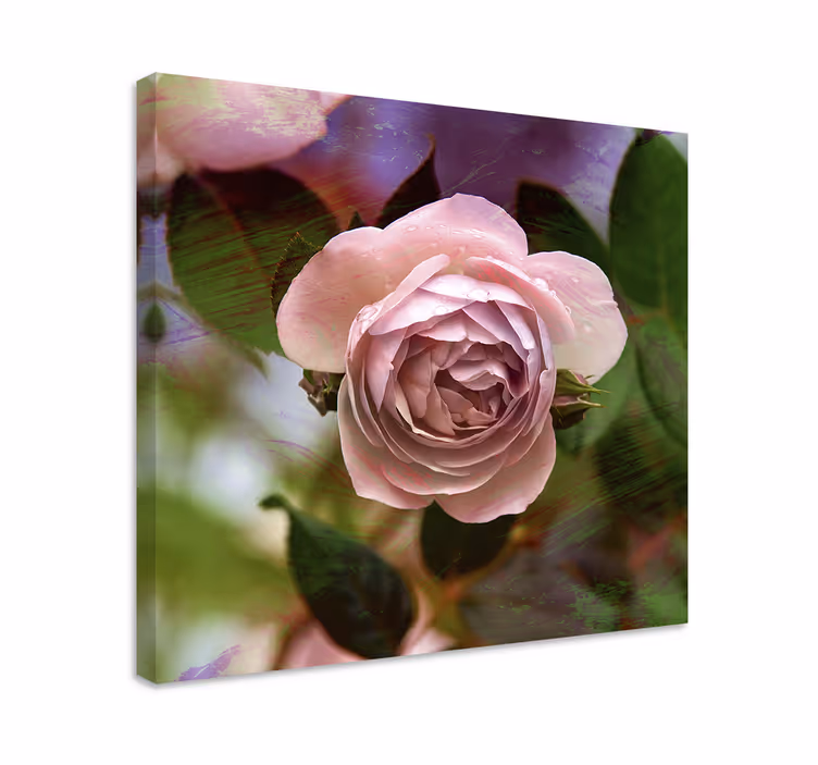 Tableau fleurs et plantes rose poudrée - TenStickers