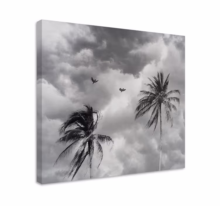 Tableau salon Palmier noir et blanc - TenStickers