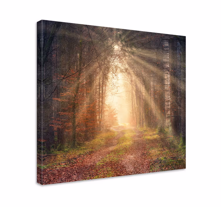 Tableau paysage Marcher vers la lumière - TenStickers