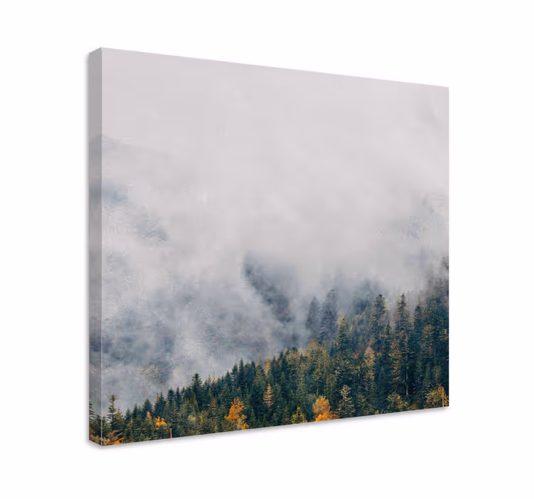 Tableau arbres paysage de forêt brumeuse - TenStickers