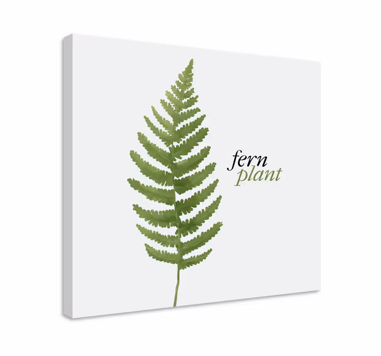 Tableau fleurs et plantes design de fougère - TenStickers