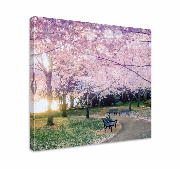 Tableau fleurs Jardin avec fleur rose sur les arbres - TenStickers