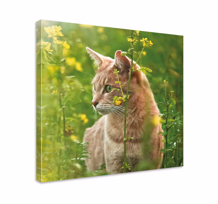 Tableau fleurs Chat mignon dans un espace floral - TenStickers
