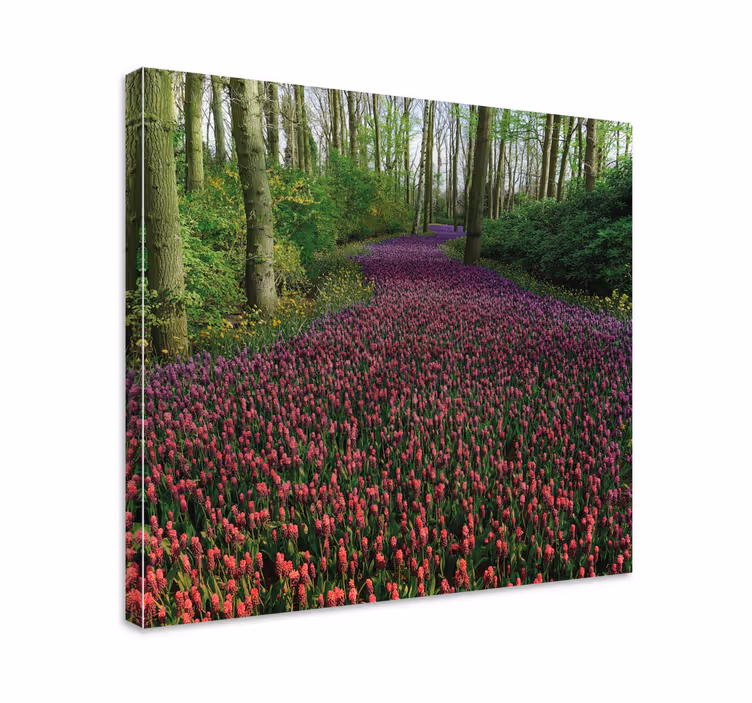 Tableau fleurs et plantes chemin floral en fleurs - TenStickers