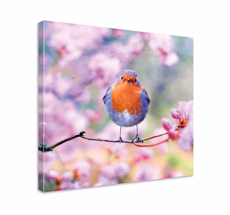 Tableau oiseaux rouge-gorge enchanteur perché - TenStickers