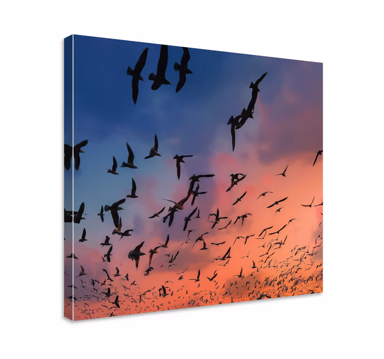 Tableau fleurs Oiseaux volant dans le ciel - TenStickers