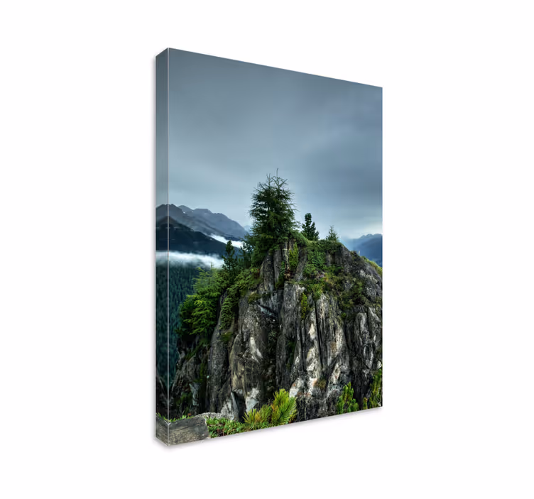 Tableau paysage Rocher unique dans la forêt verte - TenStickers