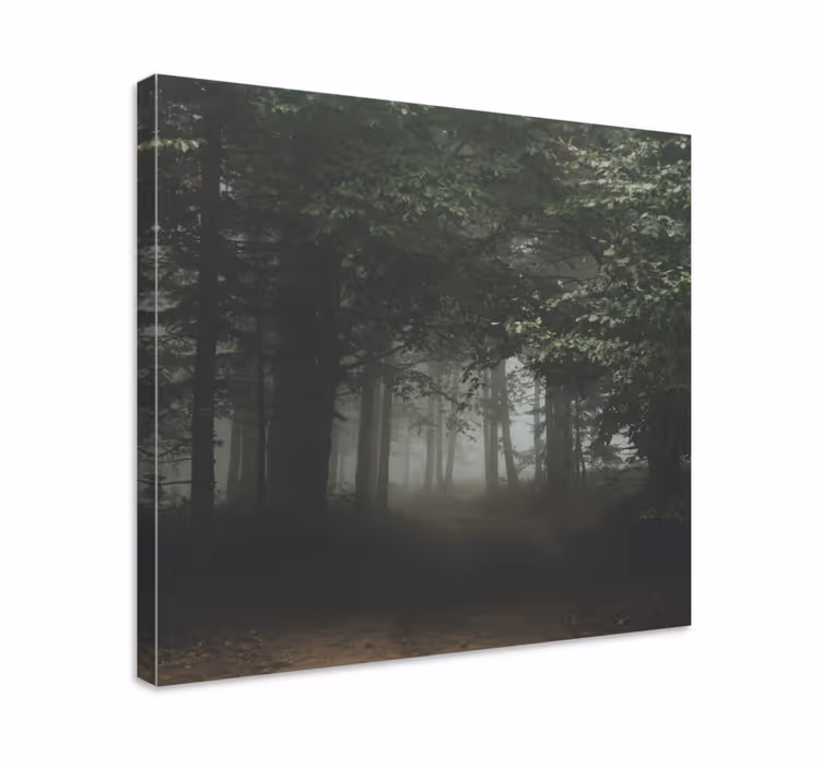 Tableau paysage Forêt bizarre en pologne - TenStickers