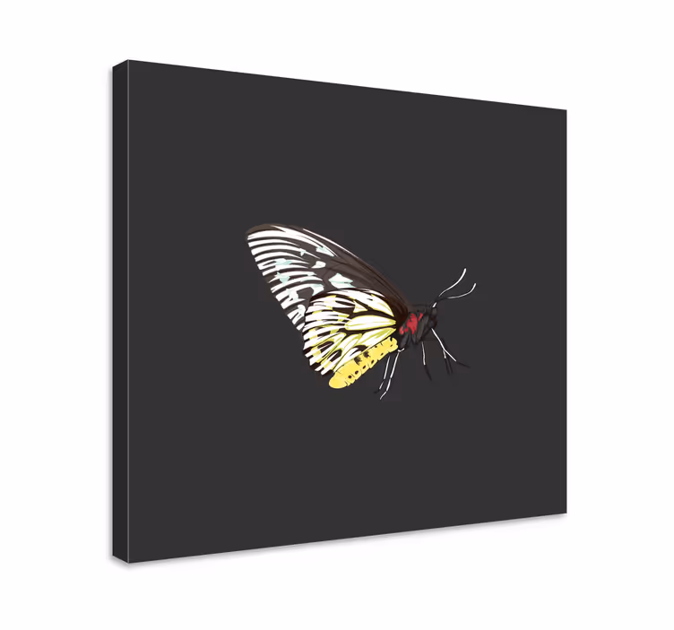 Tableau papillon Jaune détaillé réaliste - TenStickers