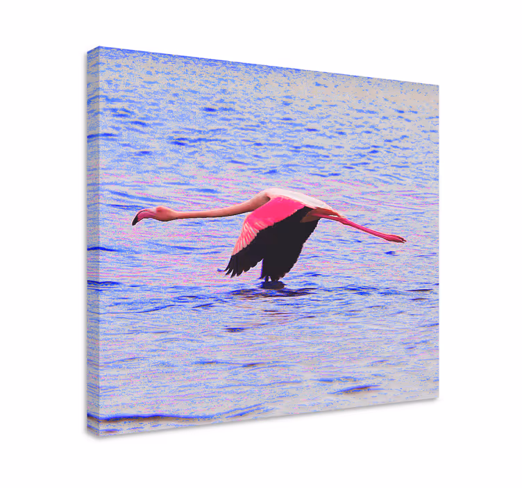 Tableau poissons flamants en vol - TenStickers