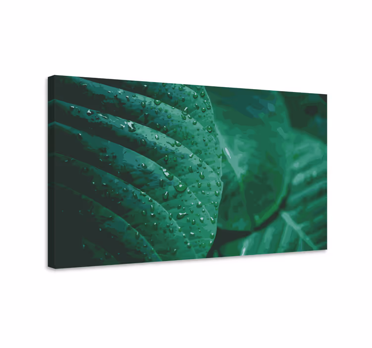 Tableau végétal Eau de pluie sur les feuilles - TenStickers
