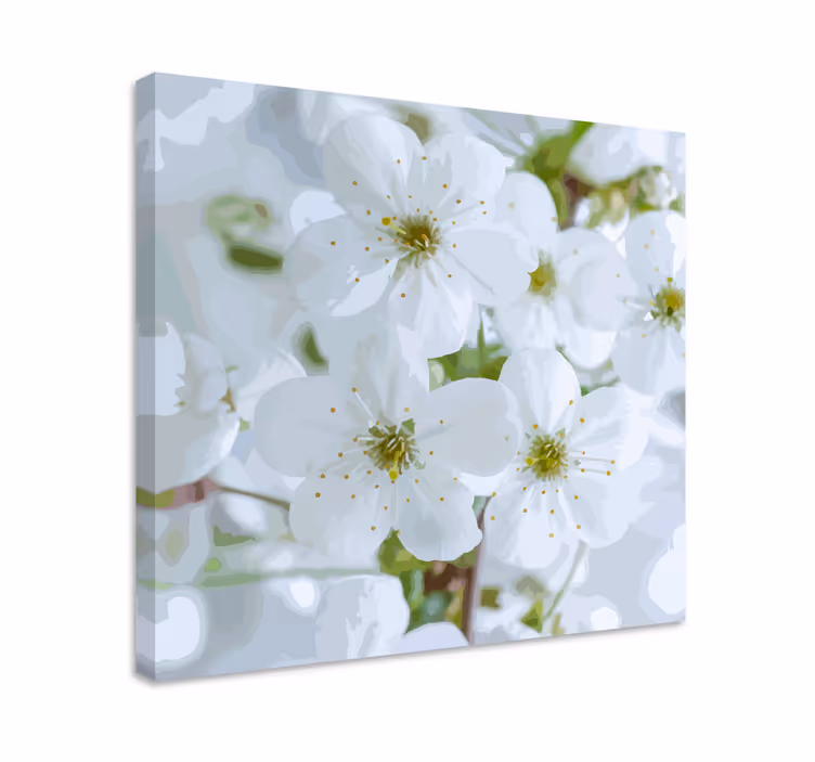 Tableau fleurs Couleurs pastel blanches beaux pétales - TenStickers