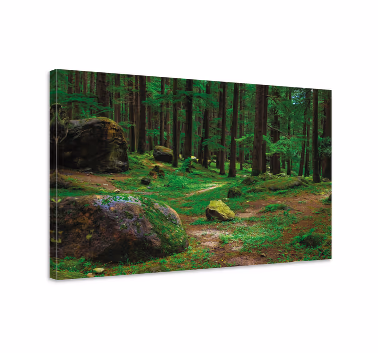 Tableau paysage Forêt verte avec des arbres - TenStickers
