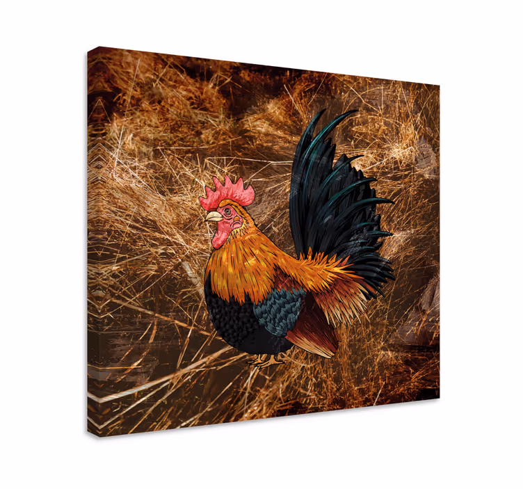 Tableau oiseaux coq coloré - TenStickers