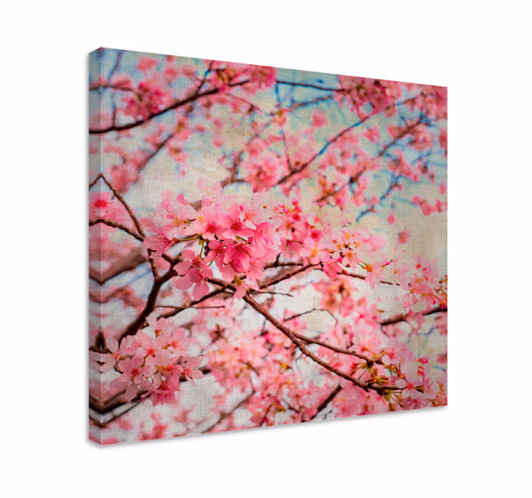 Tableau fleurs Fleurs de cerisier floues - TenStickers