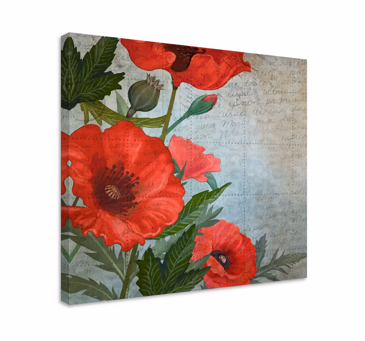 Tableau fleurs Coquelicots vintage rouges et blancs - TenStickers