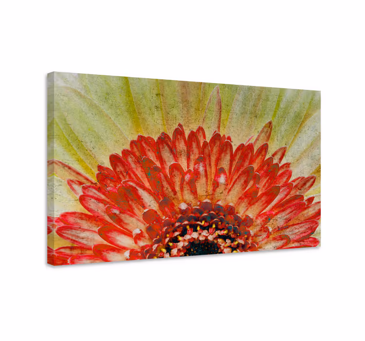 Tableau fleurs et plantes détail de fleurs vibrant - TenStickers