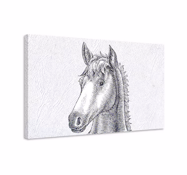 Tableau chevaux croquis élégant de cheval - TenStickers