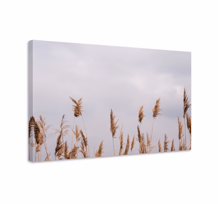Tableau végétal Vue brumeuse de l'herbe de la pampa - TenStickers