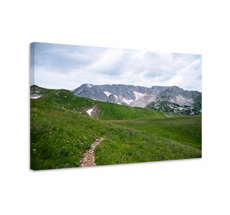 Tableau paysage Vue sur le sentier de montagne - TenStickers