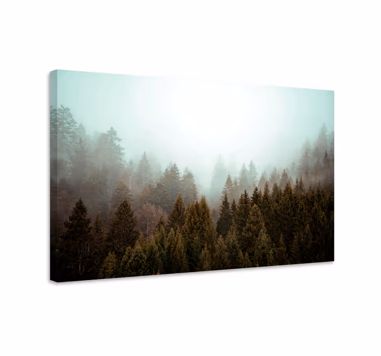 Tableau paysage Forêt de conifères et brouillard - TenStickers