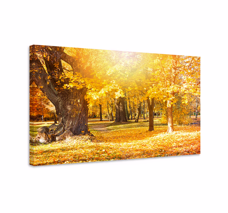 Tableau paysage Les rayons du soleil dans une forêt d'automne - TenStickers