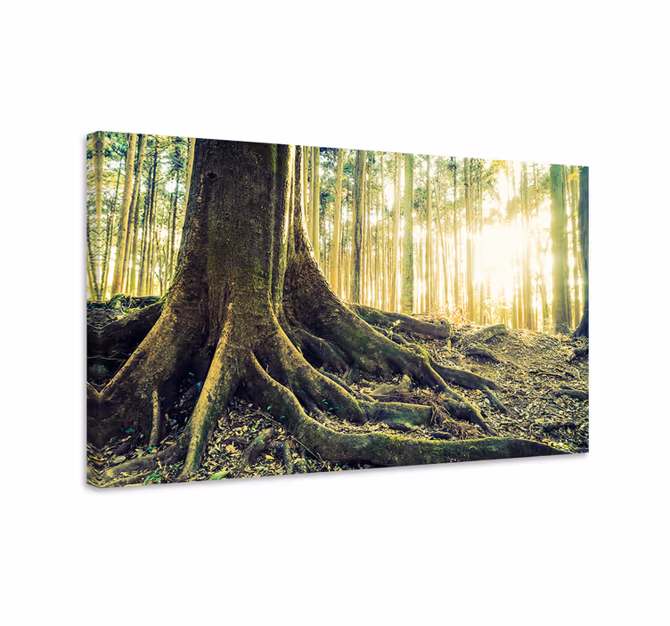Tableau paysage Forêt dorée avec les rayons du soleil - TenStickers