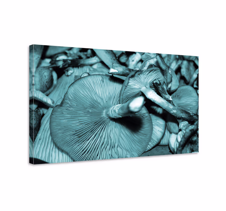 Tableau fleurs et plantes croissance de champignons - TenStickers