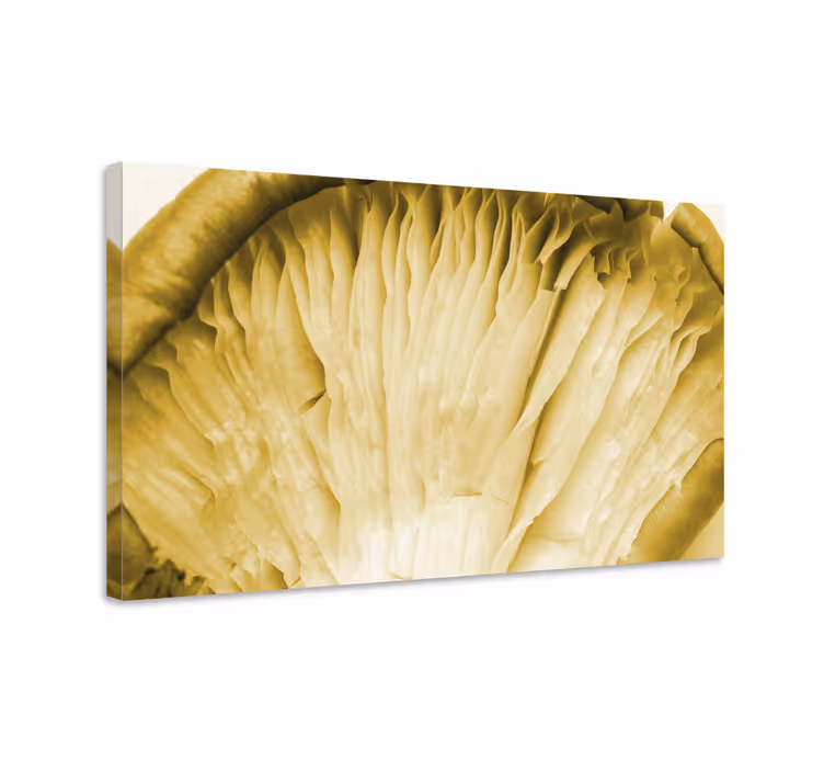 Tableau fleurs et plantes lamelles de champignon - TenStickers