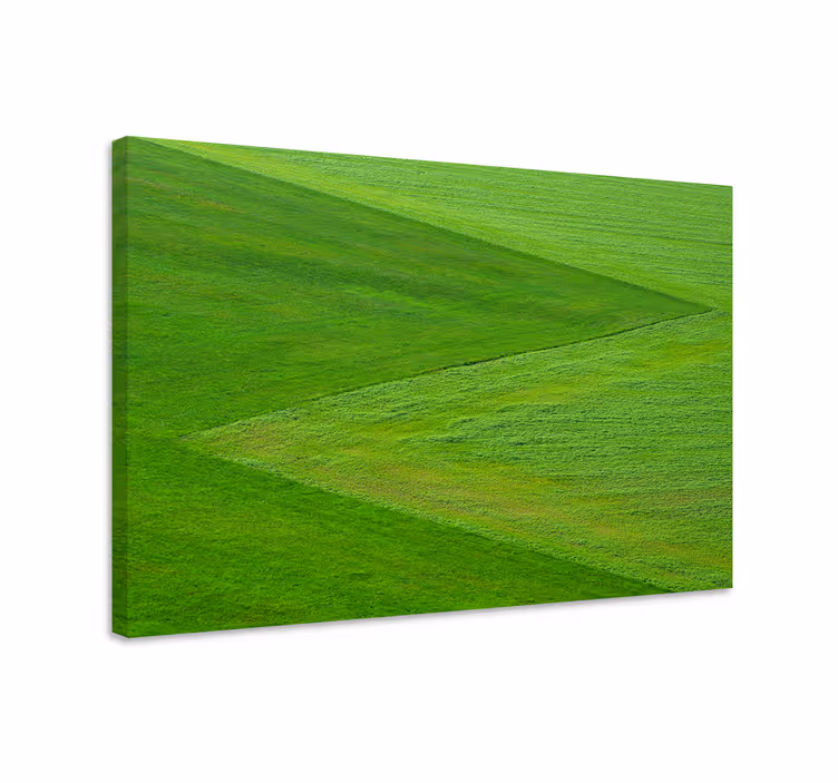 Tableau paysage Herbe verte texturée - TenStickers