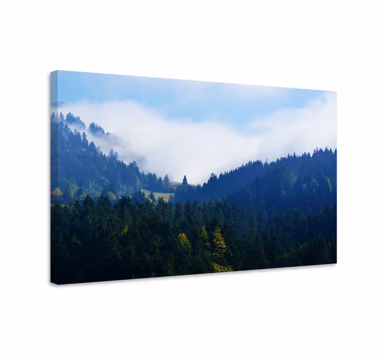 Tableau paysages sommet majestueux de la forêt - TenStickers