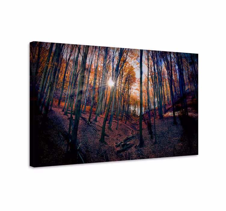 Tableau paysages Éclat de la forêt en automne - TenStickers