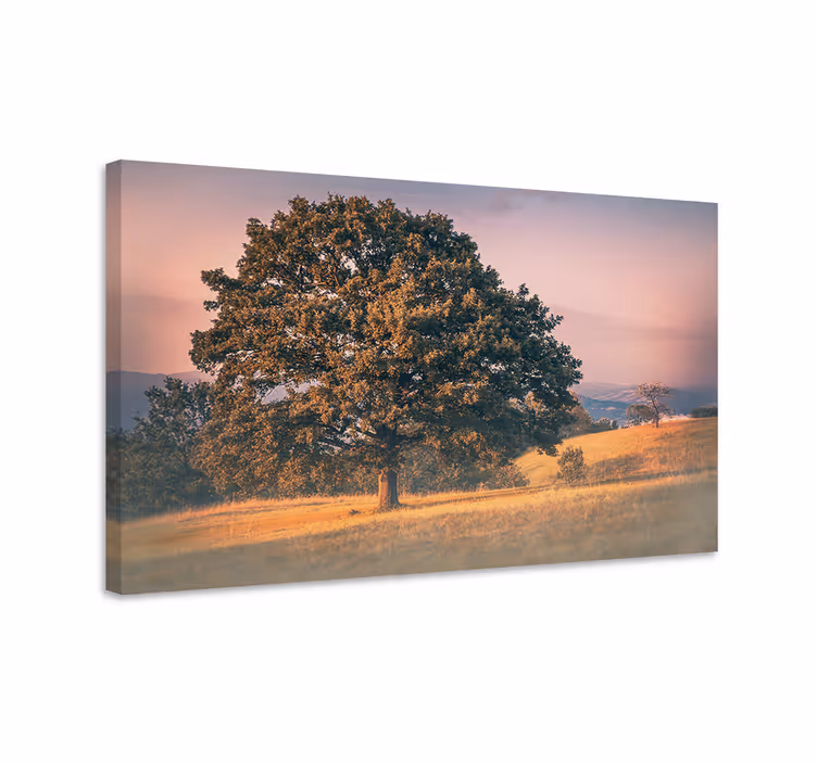 Tableau arbres chêne majestueux - TenStickers
