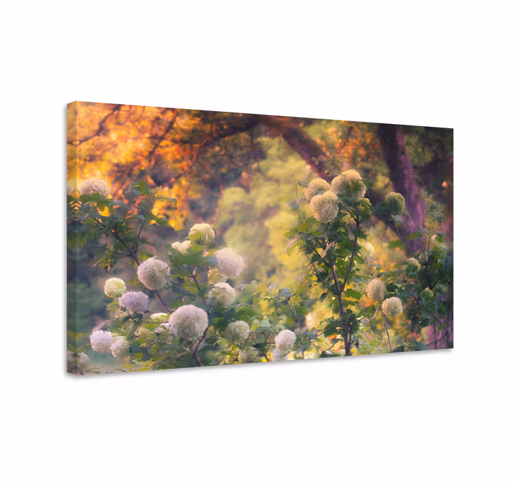 Tableau paysage Aube de cottage - TenStickers