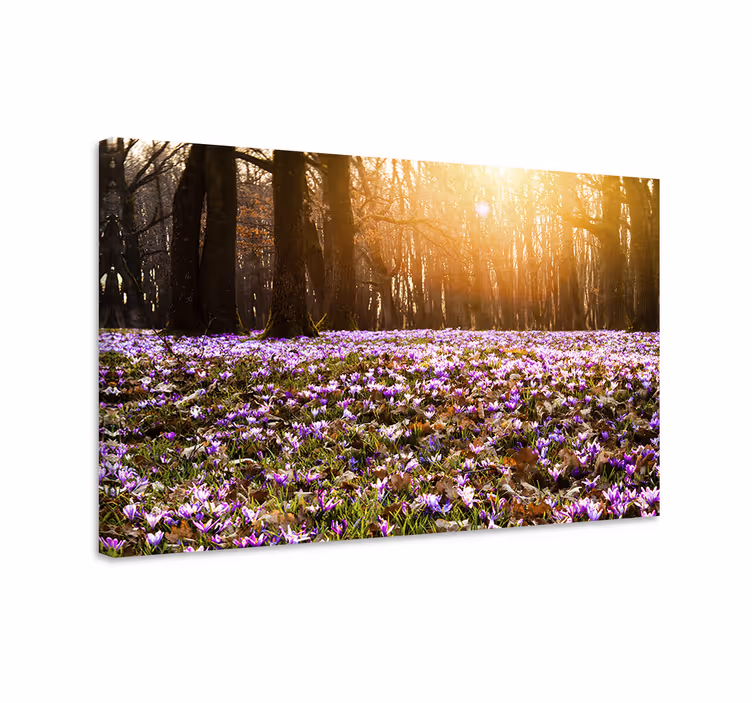 Tableau fleurs et plantes paysage printanier fleuri - TenStickers